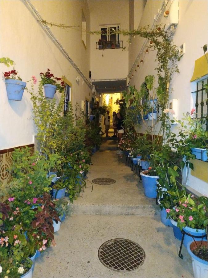 Ferienwohnung Casa Jurel Conil De La Frontera Exterior foto